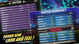 Real Cricket™ 16: English Bash screenshot