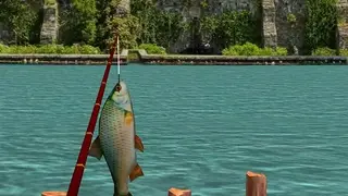 Real Fishing Pro 3D screenshot