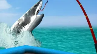 Real Fishing Pro 3D screenshot