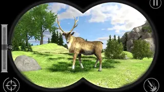 Real Jungle Animals Hunting screenshot