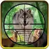 Real Jungle Animals Hunting