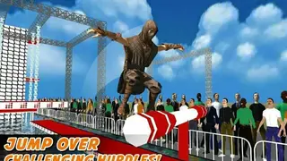 Real Ninja Warrior Amazing Run screenshot