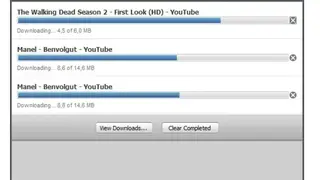 RealDownloader screenshot