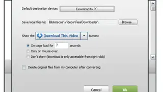 RealDownloader screenshot