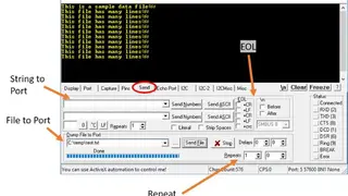 RealTerm screenshot