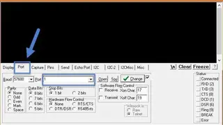RealTerm screenshot