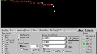 RealTerm screenshot