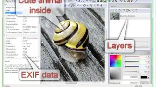 RealWorld Photos screenshot