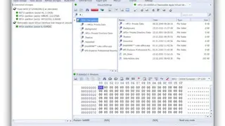 Recovery Explorer Professional screenshot