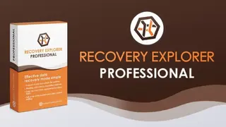 Recovery Explorer Professional screenshot