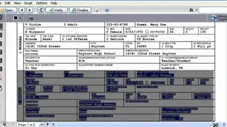 Redact-It screenshot