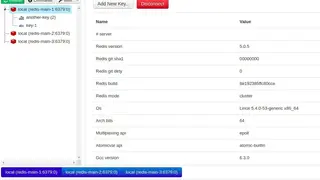Redis Commander screenshot