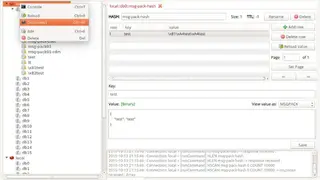 Redis Commander screenshot