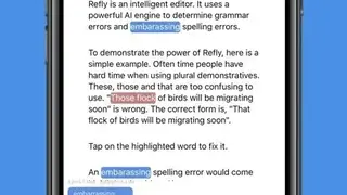 Refly Editor screenshot