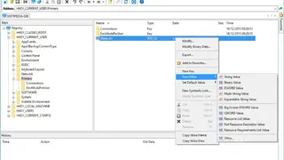 Registry Workshop screenshot