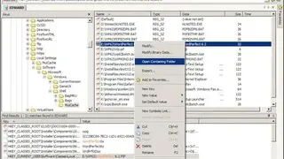 Registry Workshop screenshot