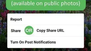 Regrann Pro screenshot