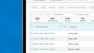 Replicon screenshot
