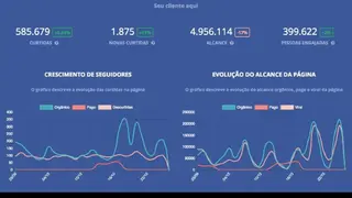 Reportei screenshot