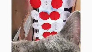 Repost for Instagram by koskazan screenshot