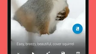Repost for reddit screenshot