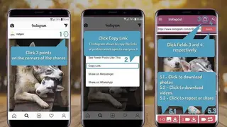 Repost, Photos, Videos, IGTV Video Downloader screenshot