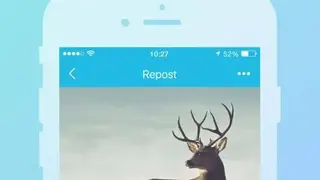 Repost – Videos & Photos Sharing Tool screenshot