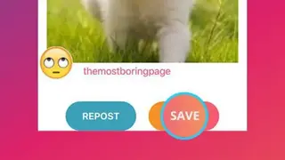 Reposta screenshot