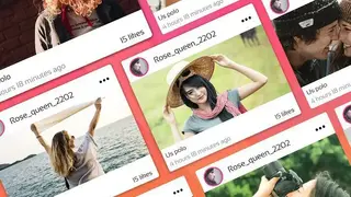 Reposta by WDesign Expert screenshot