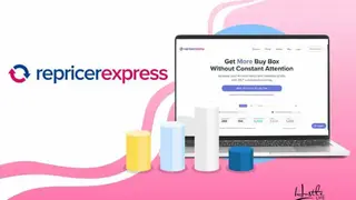 RepricerExpress screenshot