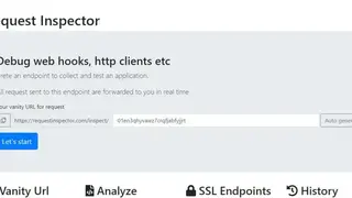 Request inspector screenshot