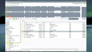 Resonic screenshot