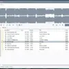 Resonic Player