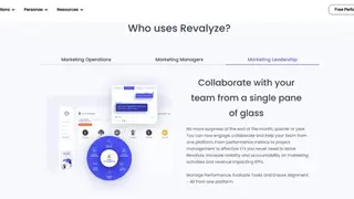 Revalyze screenshot