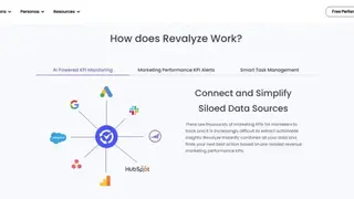 Revalyze screenshot