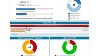 Revenera FlexNet Code Aware screenshot
