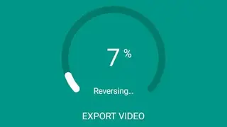 Reverse Video screenshot