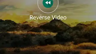 Reverse Video screenshot