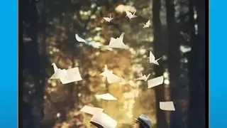 Reverse Video FX screenshot