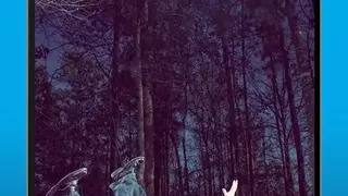 Reverse Video FX screenshot