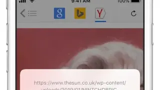 Reversee screenshot