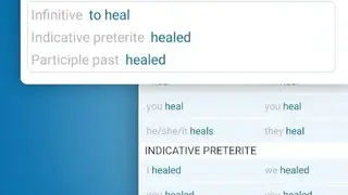 Reverso Context Translation screenshot