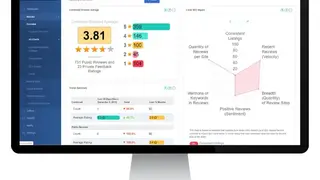 ReviewInc screenshot