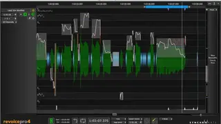 Revoice Pro screenshot