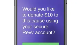 Revv Online Fundraising Platform screenshot