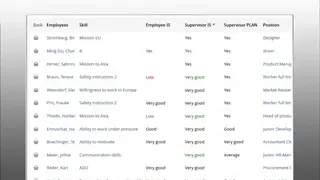 Rexx Systems Skill Management screenshot