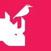 Rhinobird.tv