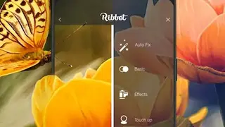 Ribbet screenshot