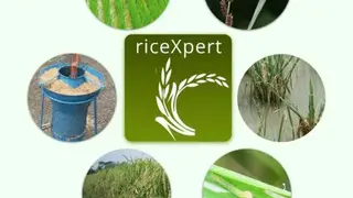 riceXpert screenshot