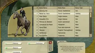 Ride Equestrian Simulation screenshot